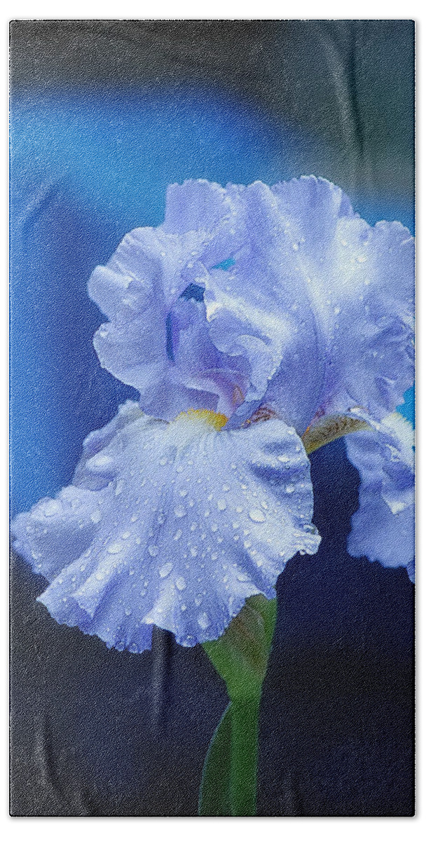 Flower Bath Towel featuring the photograph Iris Blues by Marilyn DeBlock
