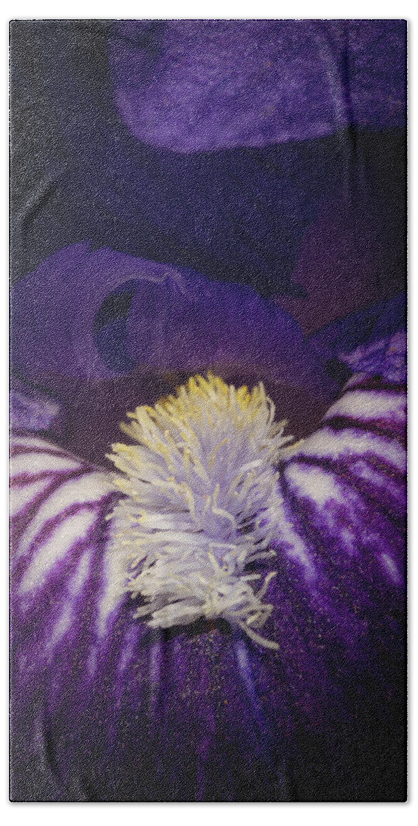 Cibola National Forest Hand Towel featuring the photograph Iris Delight by Maresa Pryor-Luzier