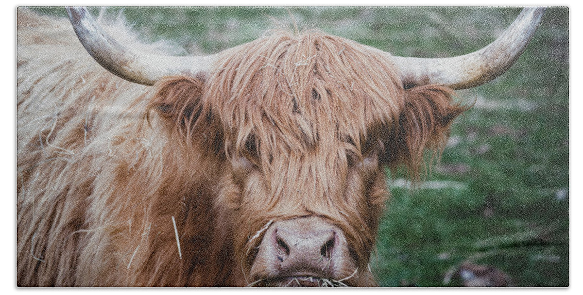 Cow Hand Towel featuring the photograph Is There Something in My Teeth by Rose Guinther