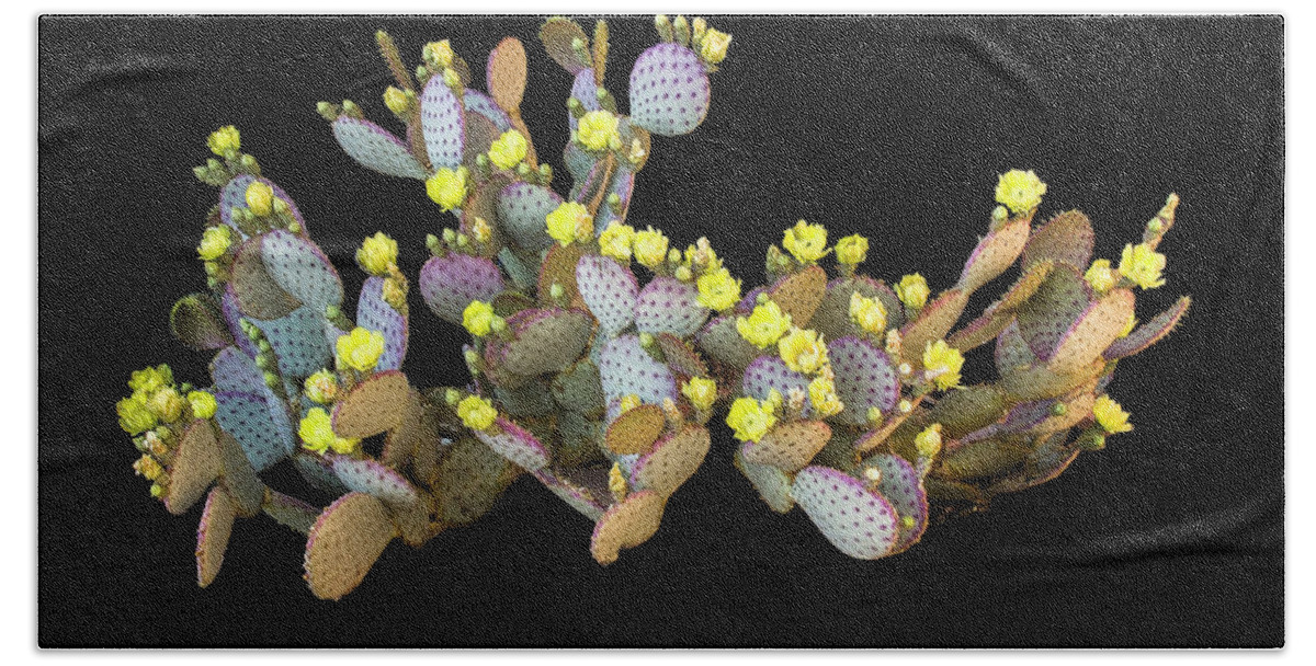  Hand Towel featuring the photograph Isolated Prickly Pear Cactus by Al Judge