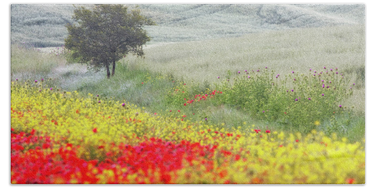 Red;yellow Wheat; Lone Tree;patterns Bath Towel featuring the photograph Italy lone tree and wilflowers by Eggers Photography