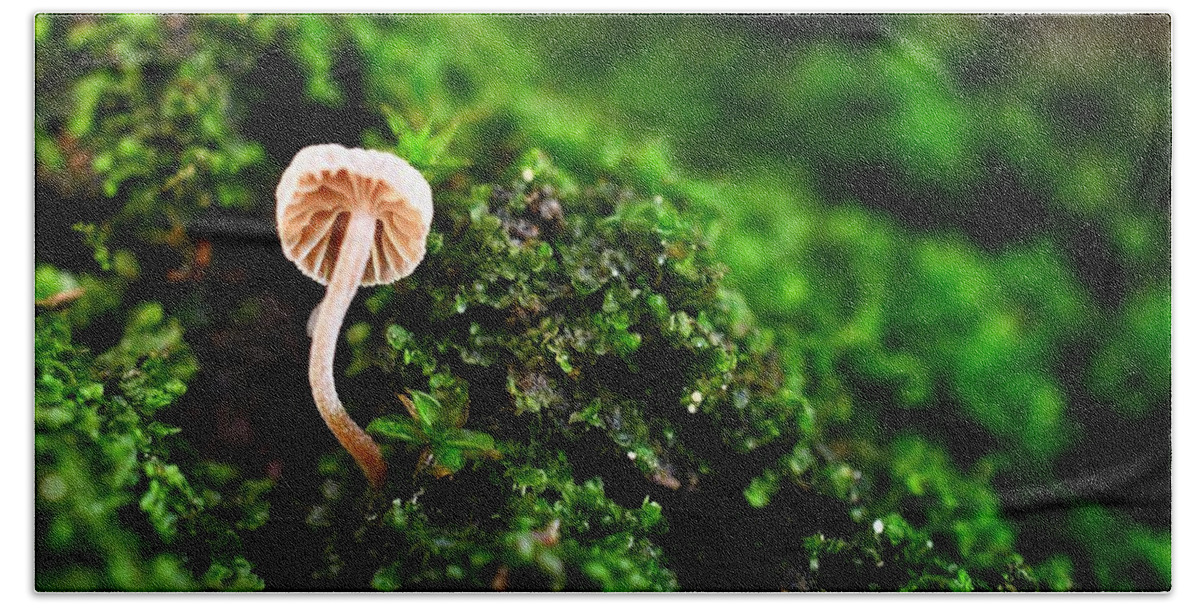 Photo Bath Towel featuring the photograph Itty Bitty Mushroom by Evan Foster