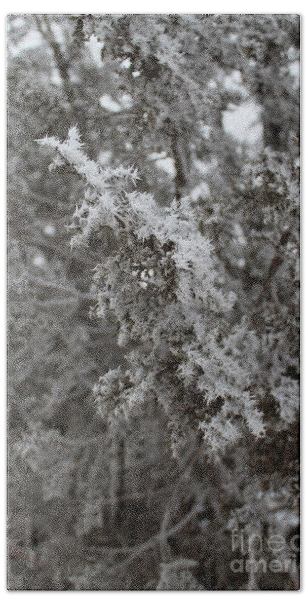 Frost Hand Towel featuring the photograph Jack Frost Was Here by Doug Miller