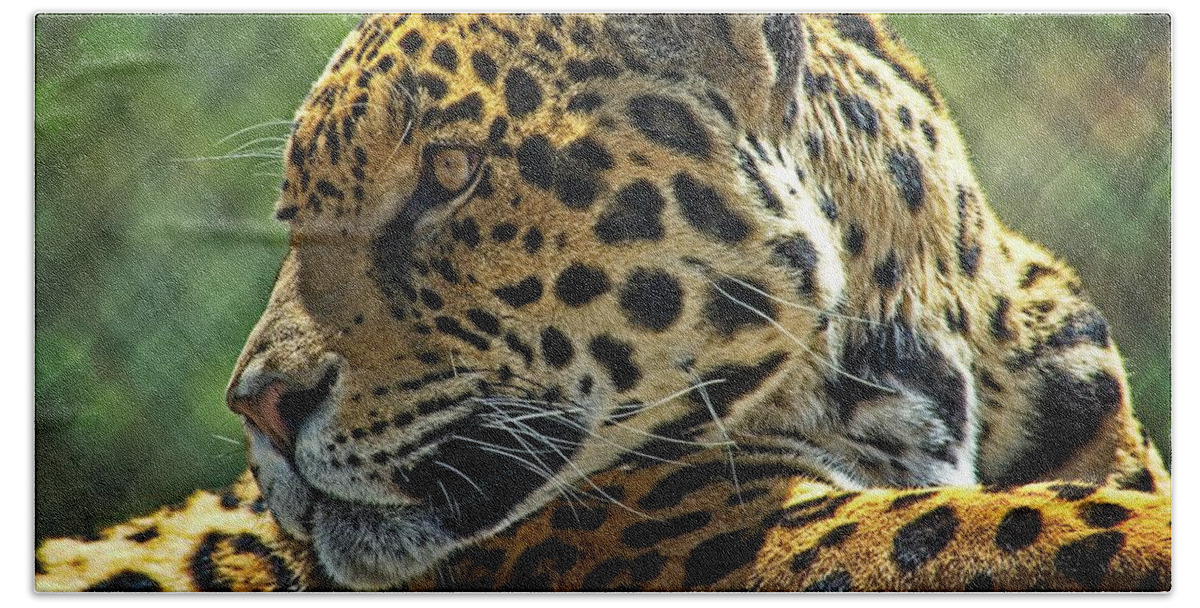 Mammal Hand Towel featuring the photograph Jaguar Profile by David Desautel