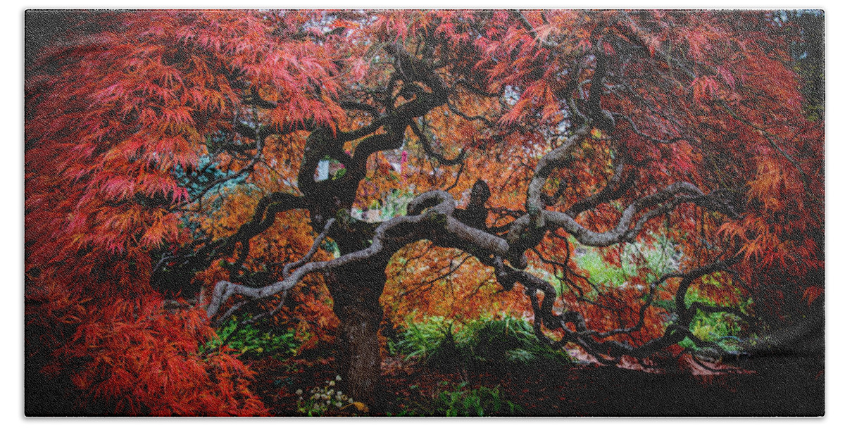 Japanese Bath Towel featuring the photograph Japanese Maple by Vicki Walsh