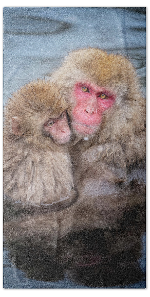 Japan Bath Towel featuring the photograph Japanese Snow Monkey Mom and Baby II by Joan Carroll