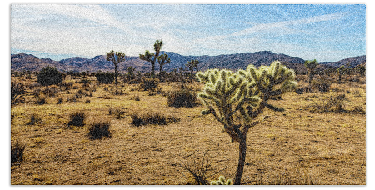 Landscapes Bath Towel featuring the photograph Joshua Tree-1 by Claude Dalley