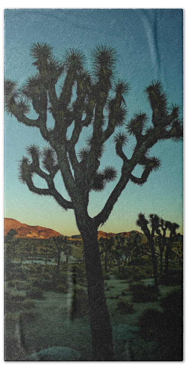 Landscape Hand Towel featuring the photograph Joshua Tree by Jermaine Beckley