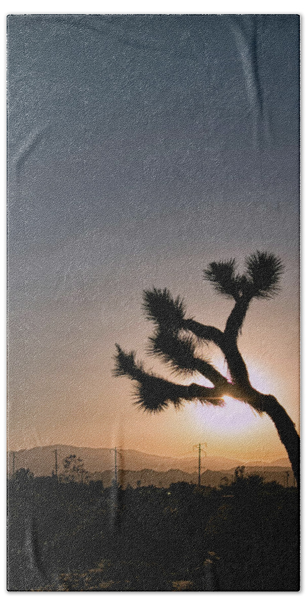 Desert Hand Towel featuring the photograph Joshua Tree Silhouette by Lisa Chorny