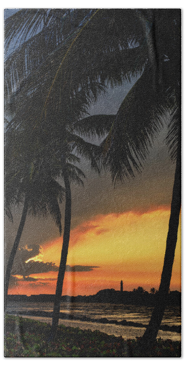 Palm Tree Bath Towel featuring the photograph Jupiter Inlet Palms by Laura Fasulo