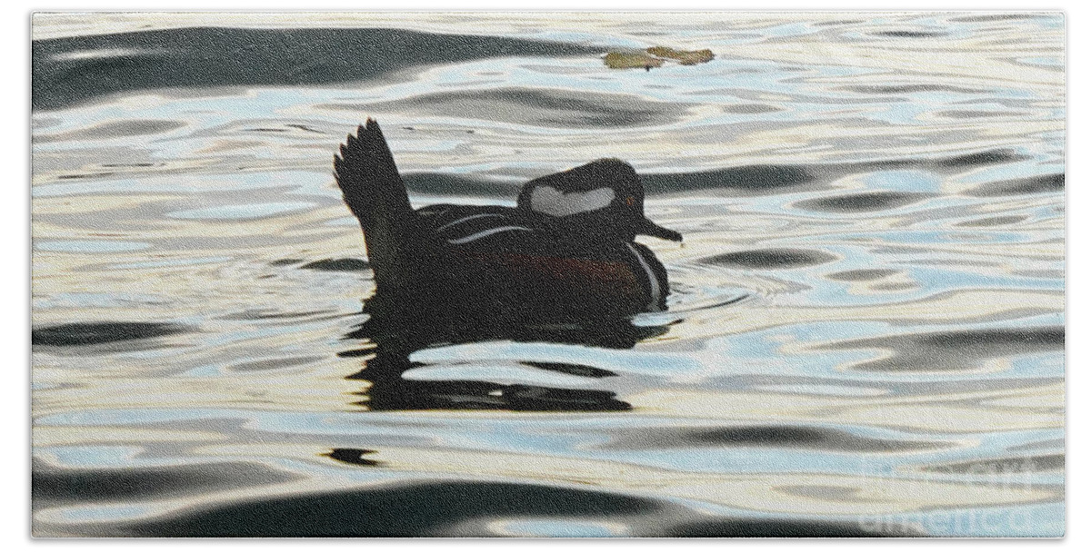 Thirsty Hooded Merganser Bath Towel featuring the photograph Just a TearDrop Sip by fototaker Tony