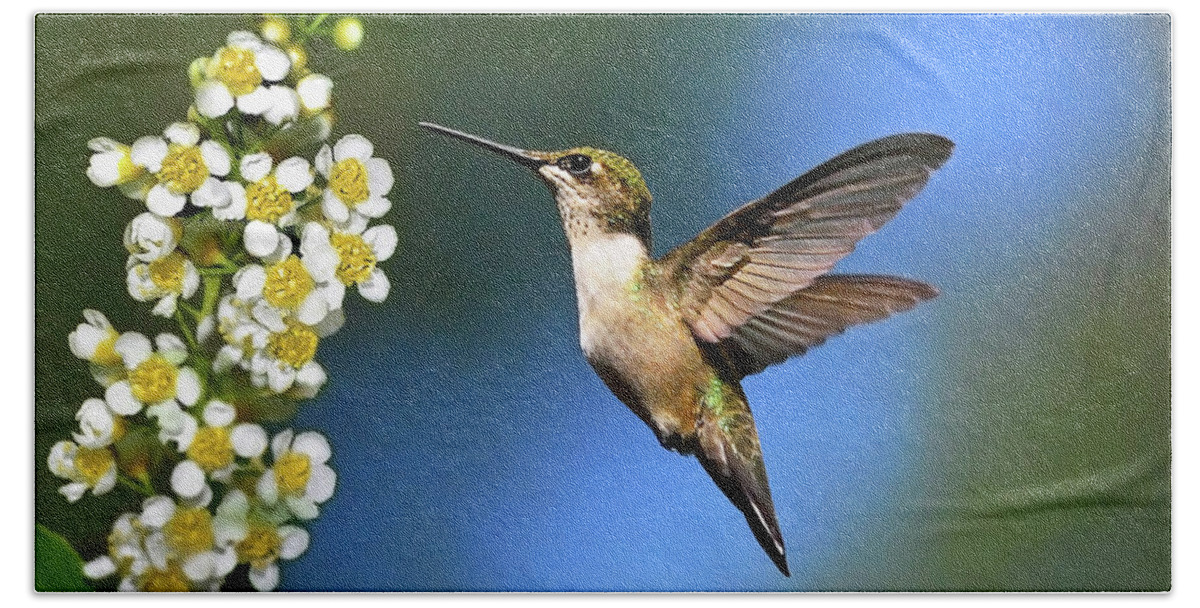 Hummingbird Bath Towel featuring the photograph Just Looking by Christina Rollo