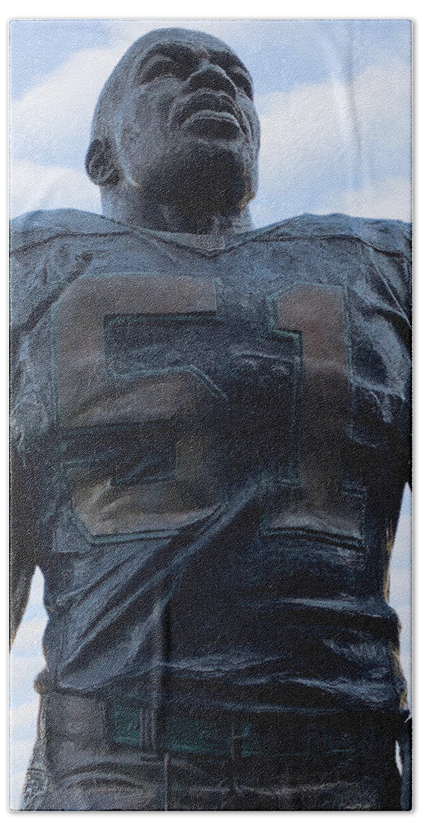 Sam Mills Bath Towel featuring the photograph Keep Pounding by Lee Darnell