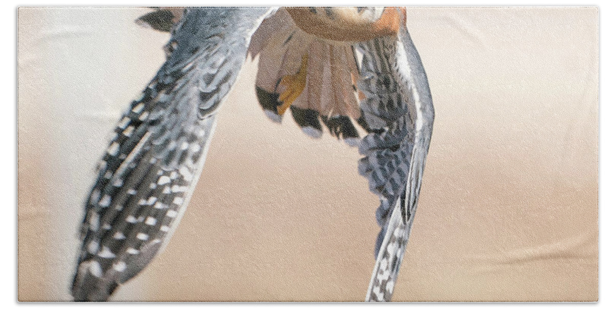 Kestrel Bath Towel featuring the photograph Kestrel - incoming by Judi Dressler