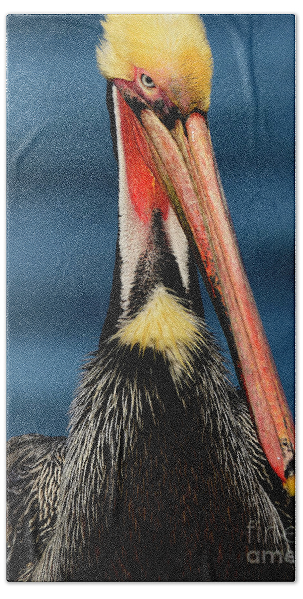 Birds Bath Towel featuring the photograph King Of The Coast by John F Tsumas