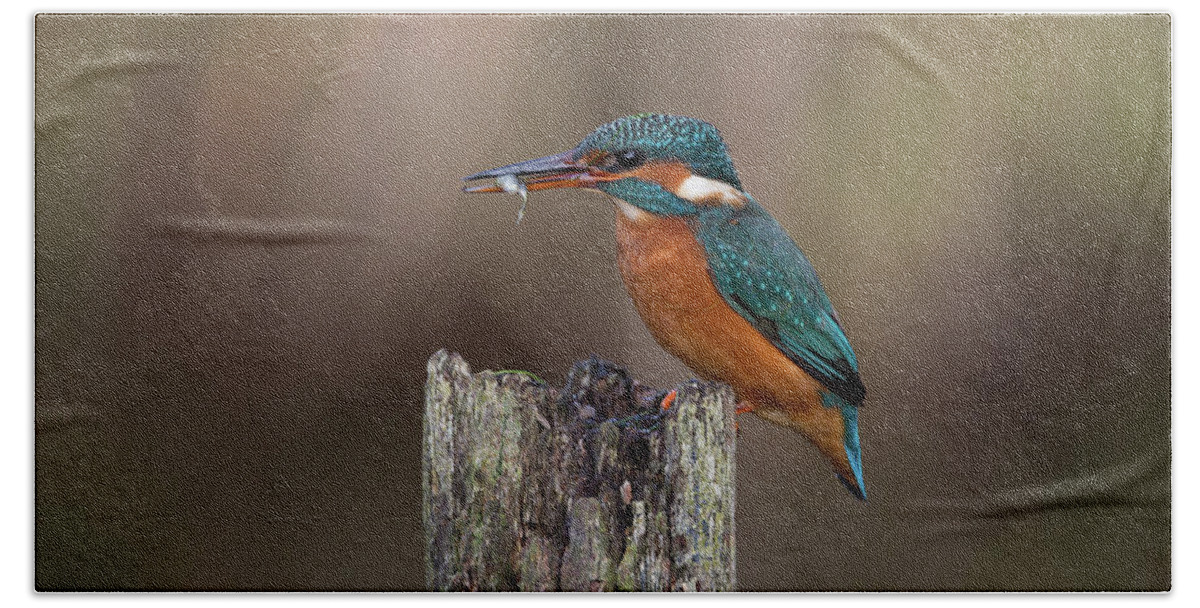 Kingfisher Hand Towel featuring the photograph Kingfisher With Fish by Pete Walkden