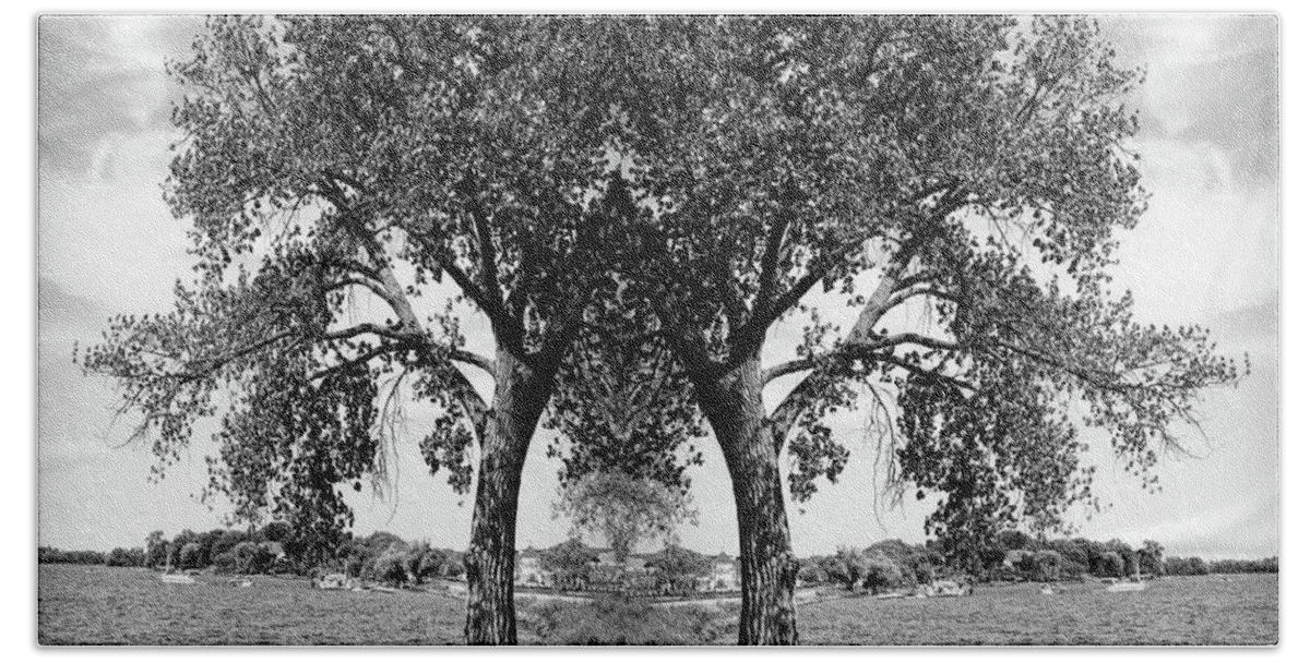Black And White Trees Bath Towel featuring the photograph Kissing Trees Over Water In Wayzata by Susan Stone