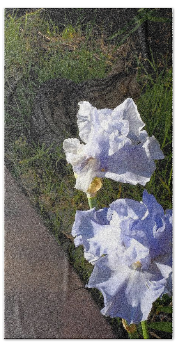 Plant Bath Towel featuring the photograph Kissy Iris by Richard Thomas