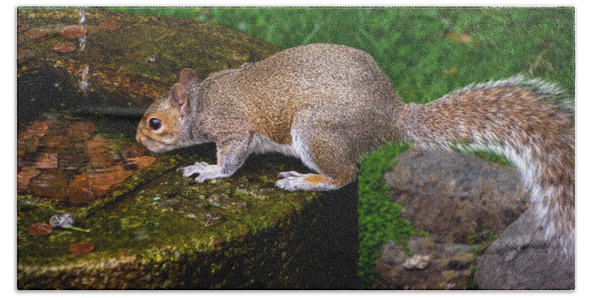 Kyoto Gardens Bath Towel featuring the photograph Kyoto Gardens Squirrel by Raymond Hill