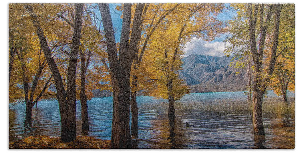 Andes Bath Towel featuring the photograph Lake Porterillos, Mendoza, Argentina by Robert McKinstry
