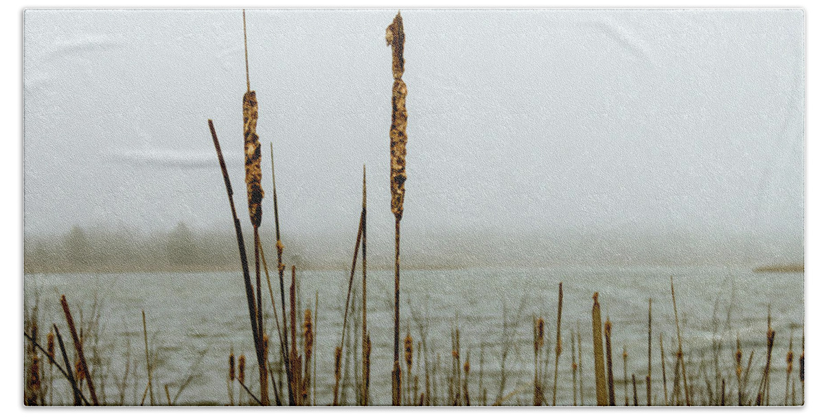 Reed Bath Towel featuring the photograph Lakeside Reeds in the Fog by Craig A Walker