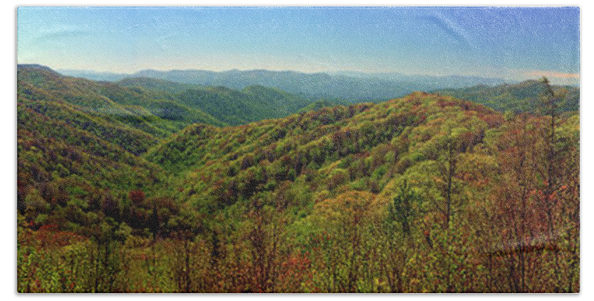 Nature Bath Towel featuring the photograph Landscape_Smokey Mountains_National Park_IMGL9352 by Randy Matthews