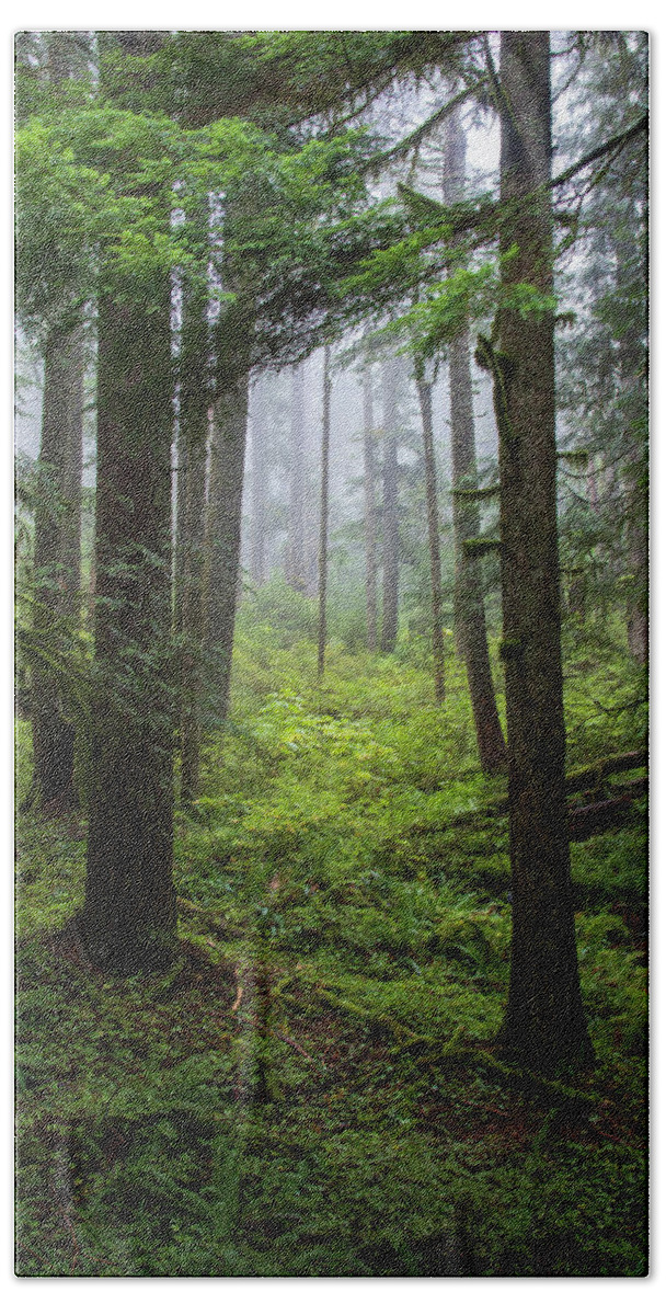 Larch Mountain Fog Hand Towel featuring the photograph Larch Mountain Fog by Catherine Avilez