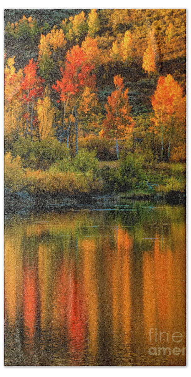 Grand Teton Hand Towel featuring the photograph Last Light at Oxbow Bend by Sandra Bronstein