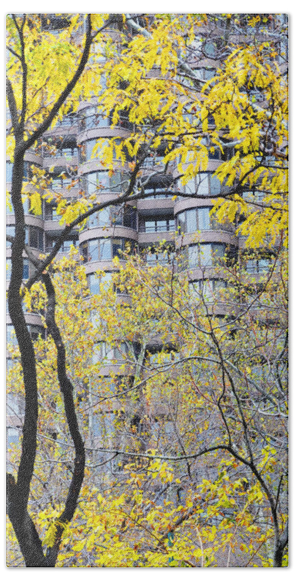 Nature Hand Towel featuring the photograph Late Autumn - A Murray Hill Impression by Steve Ember