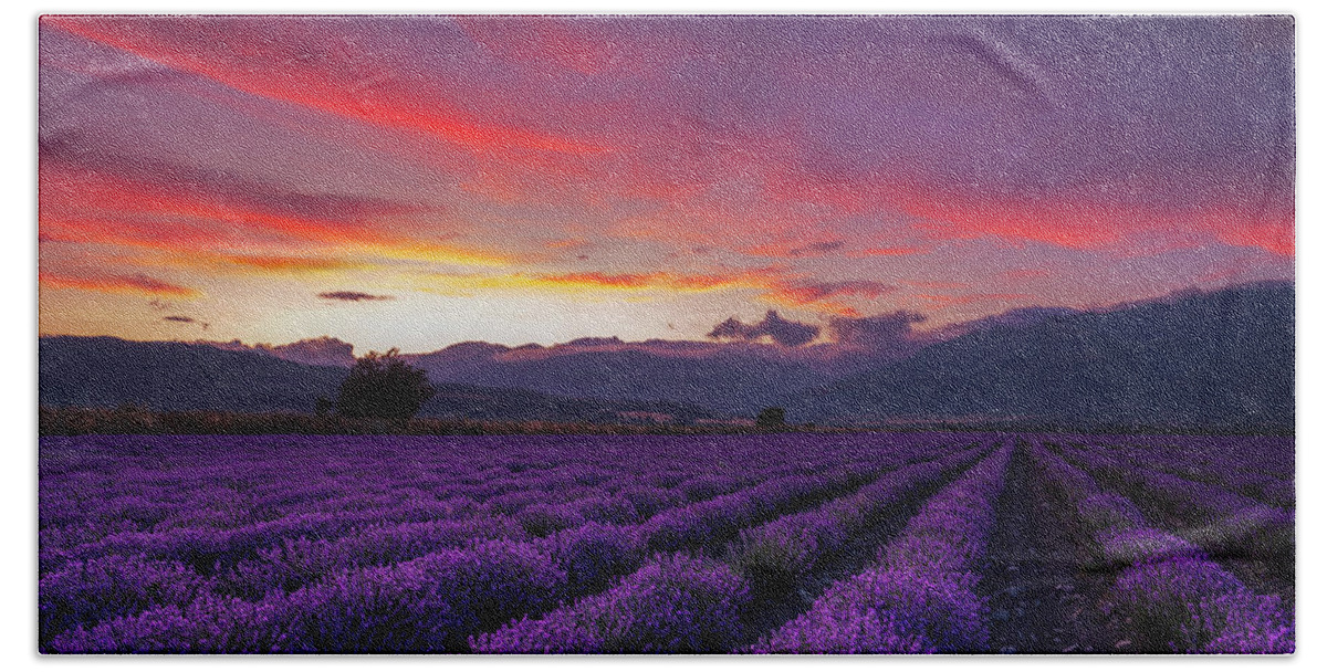 #faatoppicks Hand Towel featuring the photograph Lavender Season by Evgeni Dinev