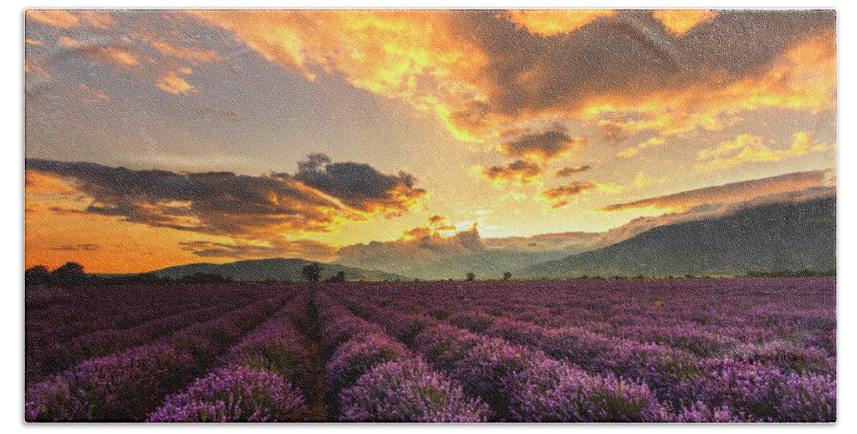 Bulgaria Hand Towel featuring the photograph Lavender Sun by Evgeni Dinev