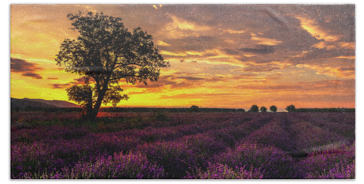 Bulgaria Hand Towel featuring the photograph Lavender Sunrise by Evgeni Dinev