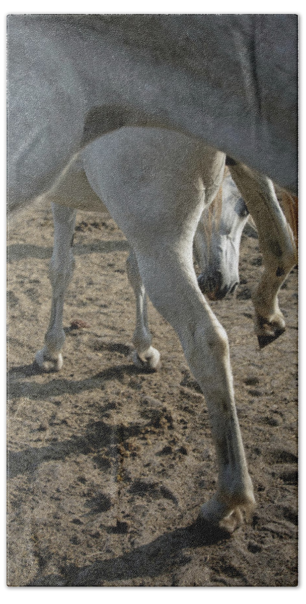 Horses Bath Towel featuring the photograph Layers of Mares by M Kathleen Warren
