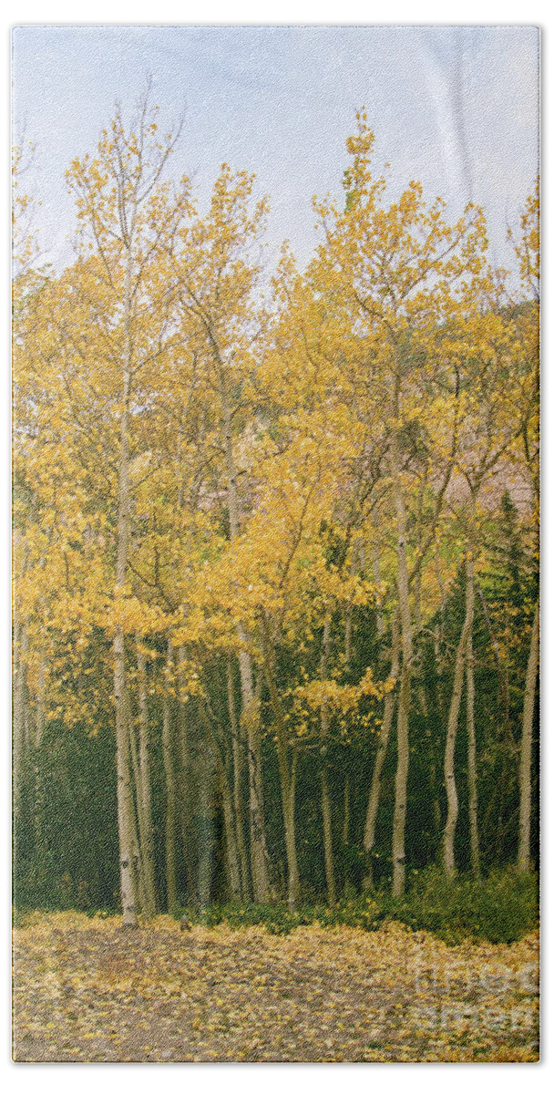 Colorado Bath Towel featuring the photograph Layers of Yellow by Ana V Ramirez