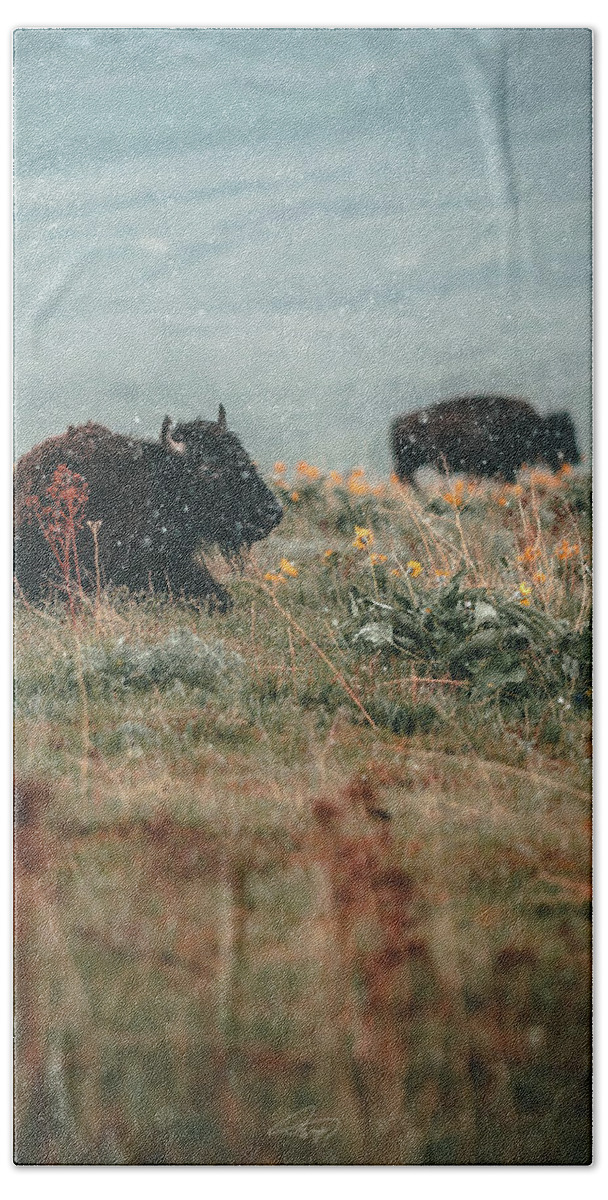  Hand Towel featuring the photograph Lazy Bison by William Boggs