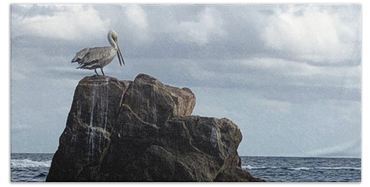Pelican Hand Towel featuring the photograph Le Pelican by Medge Jaspan