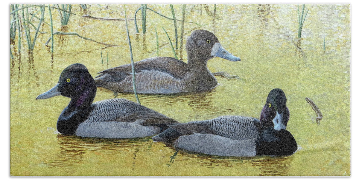 Lesser Scaup Bath Towel featuring the painting Lesser Scaup on Golden Pond by Barry Kent MacKay