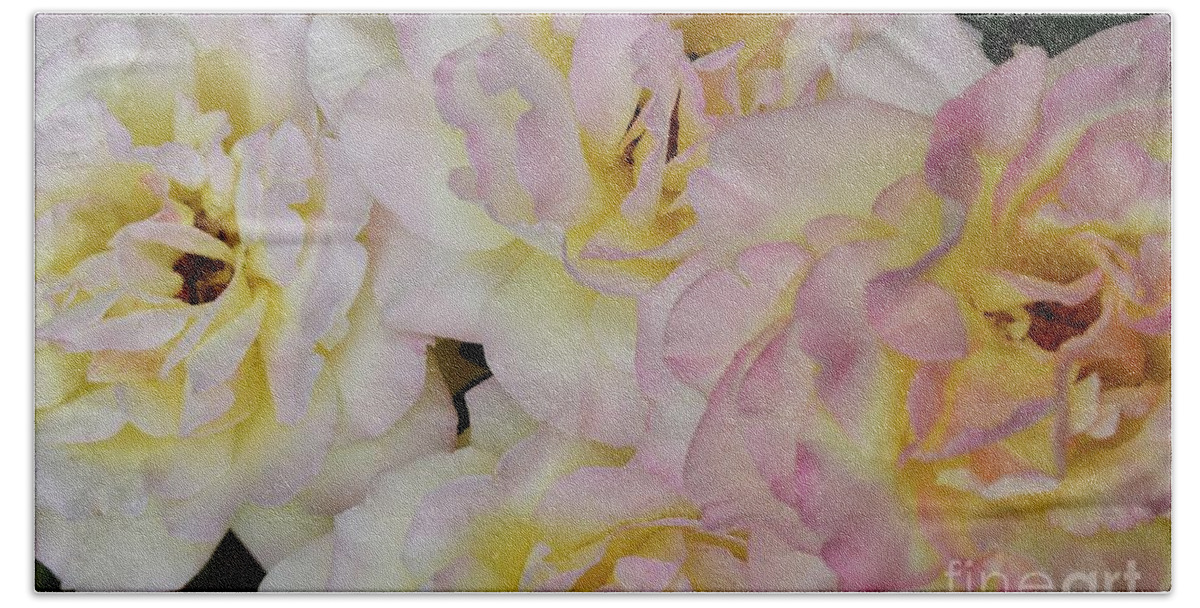 Fine Art Hand Towel featuring the photograph Let me take you to Fields of Roses 007 by Leonida Arte
