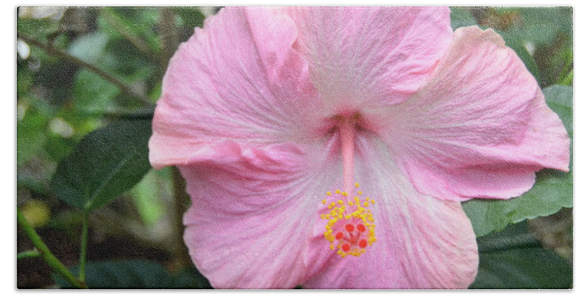 Flower Bath Towel featuring the photograph Light Pink Hibiscus 2 by Amy Fose