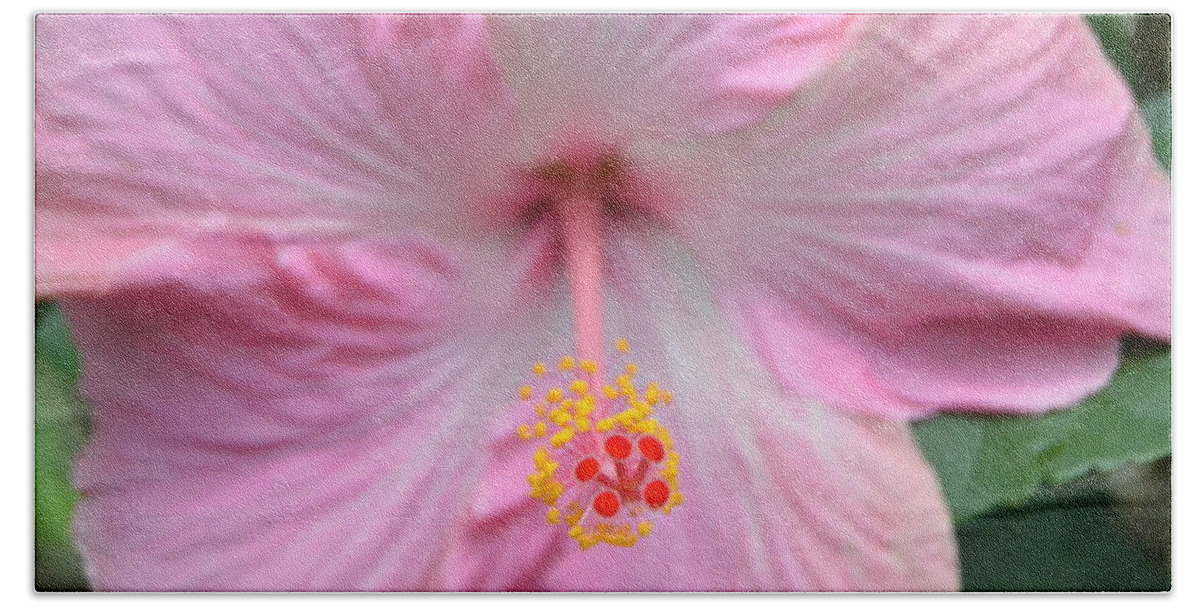 Flower Bath Towel featuring the photograph Light Pink Hibiscus 3 by Amy Fose
