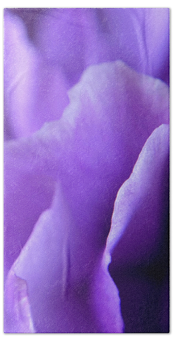 Flower Hand Towel featuring the photograph Light Purple Series II by Bloomin Blumen