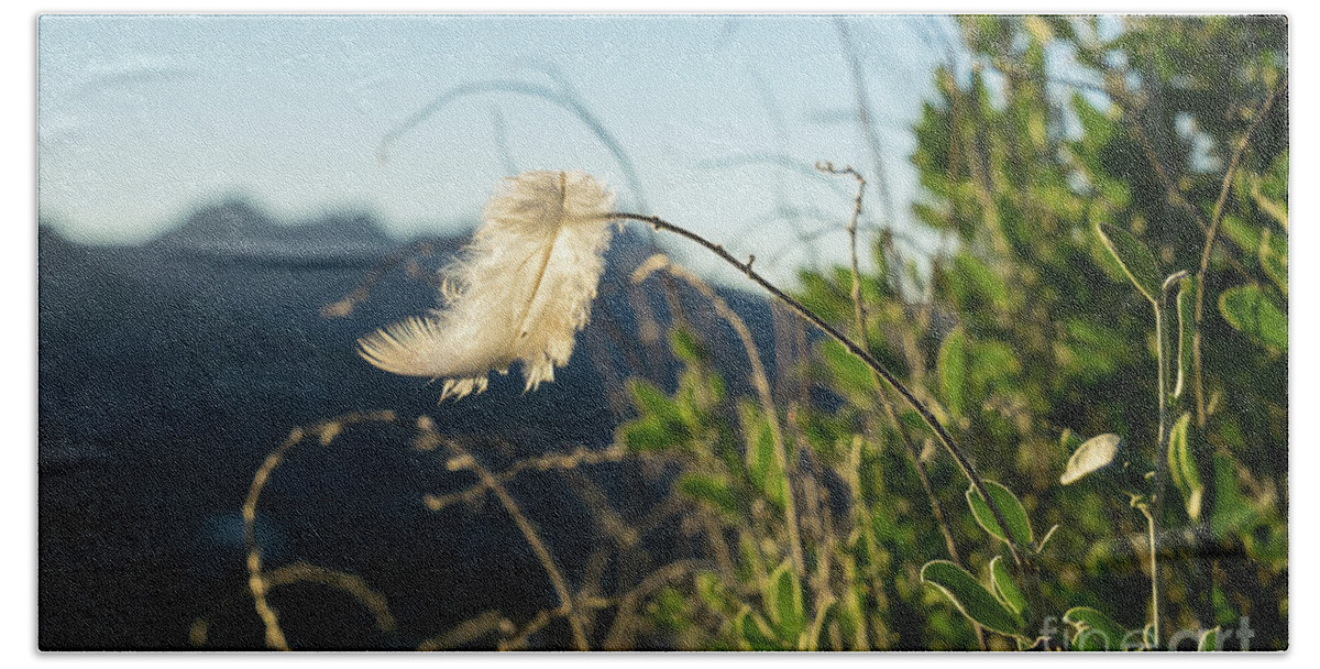 Feather Bath Towel featuring the photograph Light feather in the wind by Adriana Mueller