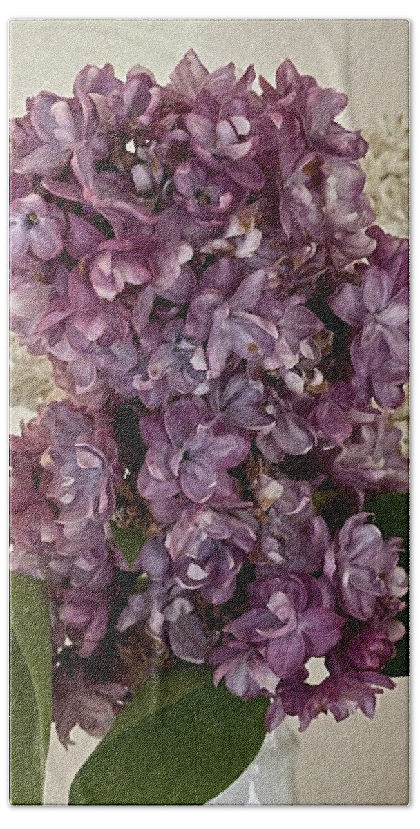 Lilacs Hand Towel featuring the photograph Lilacs by Lisa White