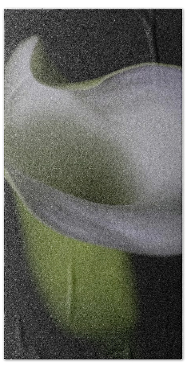 Botanical Hand Towel featuring the photograph Lily Green Grey by Julie Powell
