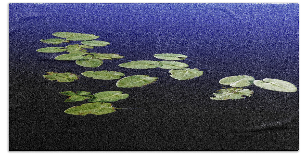 Lily Hand Towel featuring the photograph Lily Pads Floating On River by Debbie Oppermann