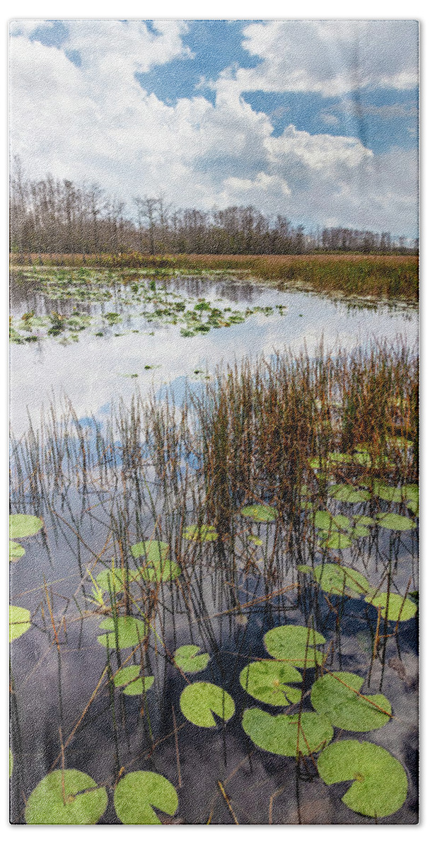 Clouds Bath Towel featuring the photograph Lily Pads Floating on the Glades by Debra and Dave Vanderlaan