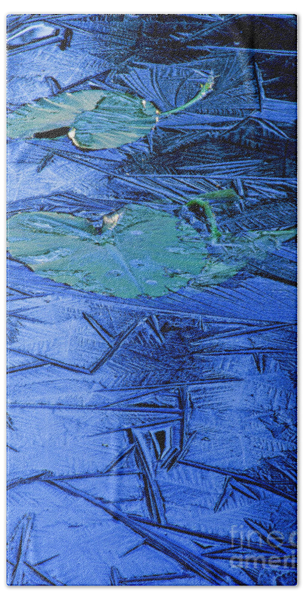 Ice Bath Towel featuring the photograph Lily pads in ice by Michael Wheatley