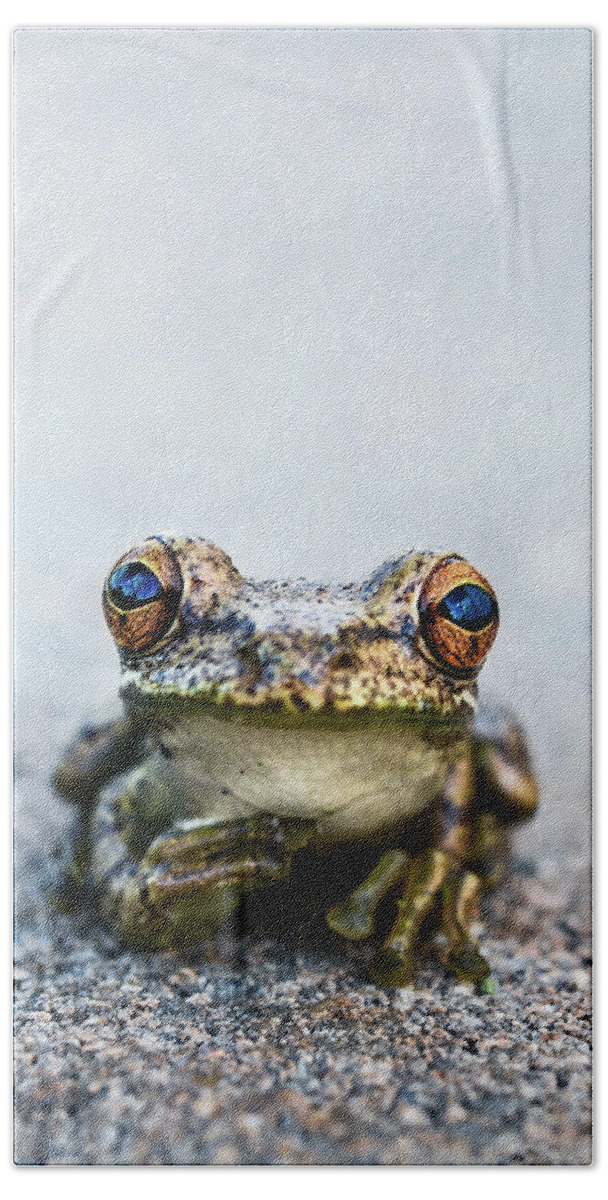 Animal Hand Towel featuring the photograph Pondering Frog Too by Laura Fasulo