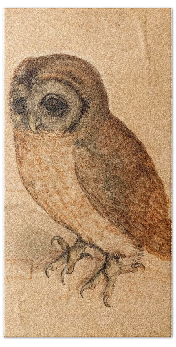 Albrecht Durer Hand Towel featuring the painting Little Owl, 1508 by Albrecht Durer