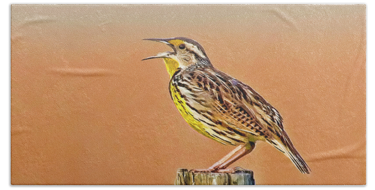 Eastern Meadowlark Bath Towel featuring the photograph Little Songbird by HH Photography of Florida